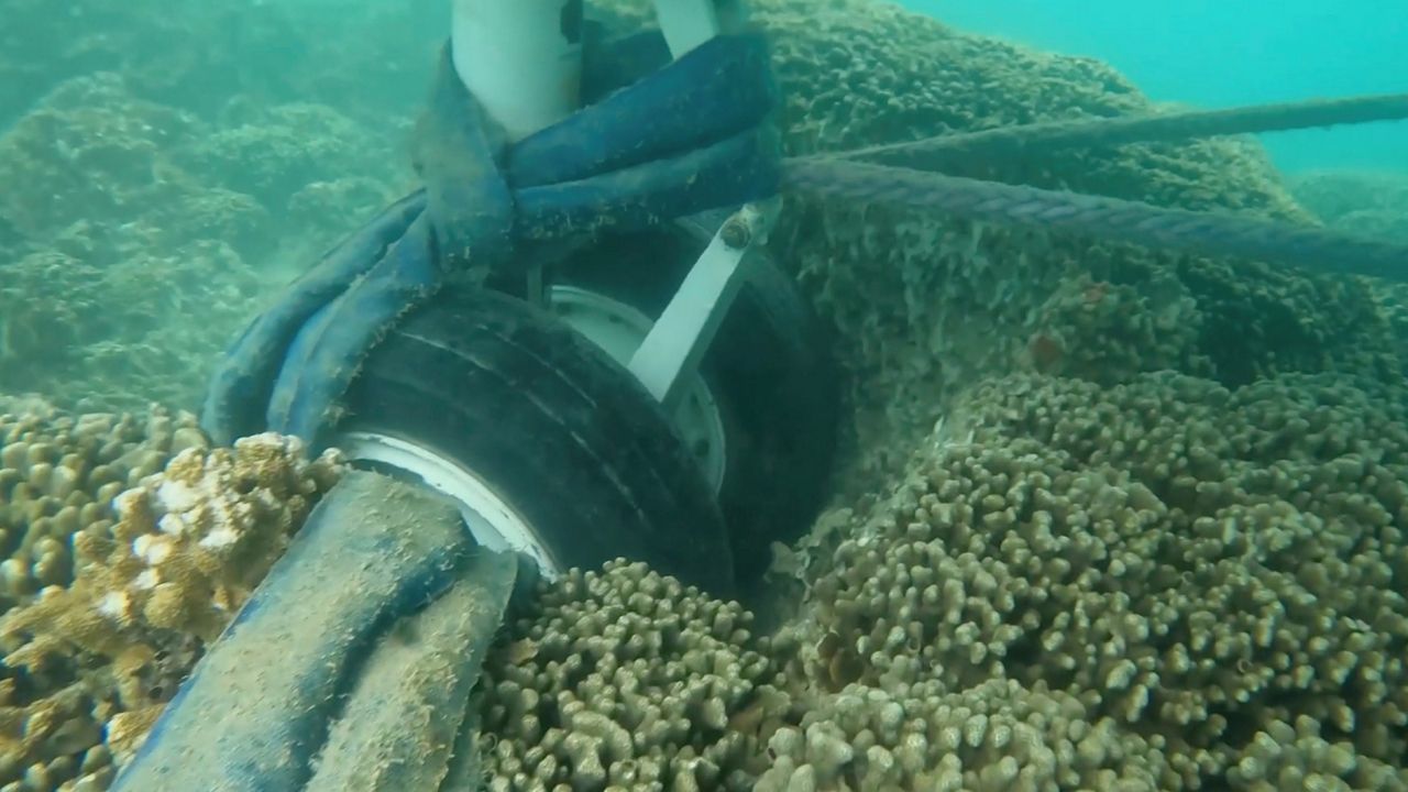 In this image taken from video provided by the U.S. Navy, Navy divers assigned to Mobile Diving and Salvage Unit One (MDSU-1) conduct an underwater survey of the U.S. Navy's P-8A Poseidon in Kaneohe Bay, Hawaii, on Tuesday, Nov. 28, 2023. (U.S. Navy via AP)