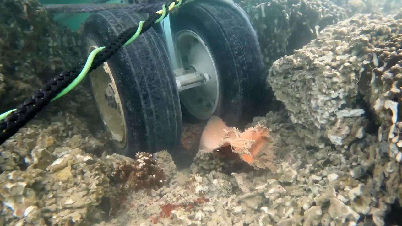 In this image taken from video provided by the U.S. Navy, Navy divers assigned to Mobile Diving and Salvage Unit One (MDSU-1) conduct an underwater survey of the U.S. Navy's P-8A Poseidon in Kaneohe Bay, Hawaii, on Tuesday, Nov. 28, 2023. (U.S. Navy via AP)