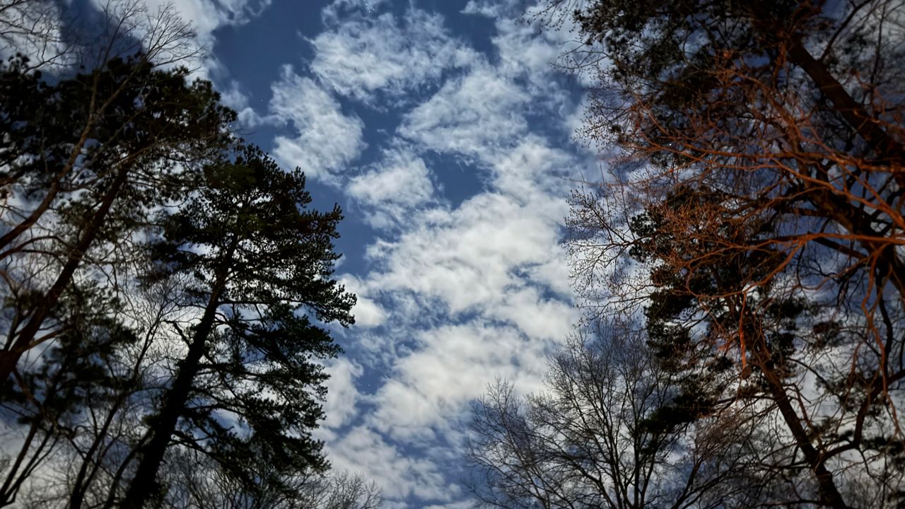Kentucky Weather Forecast