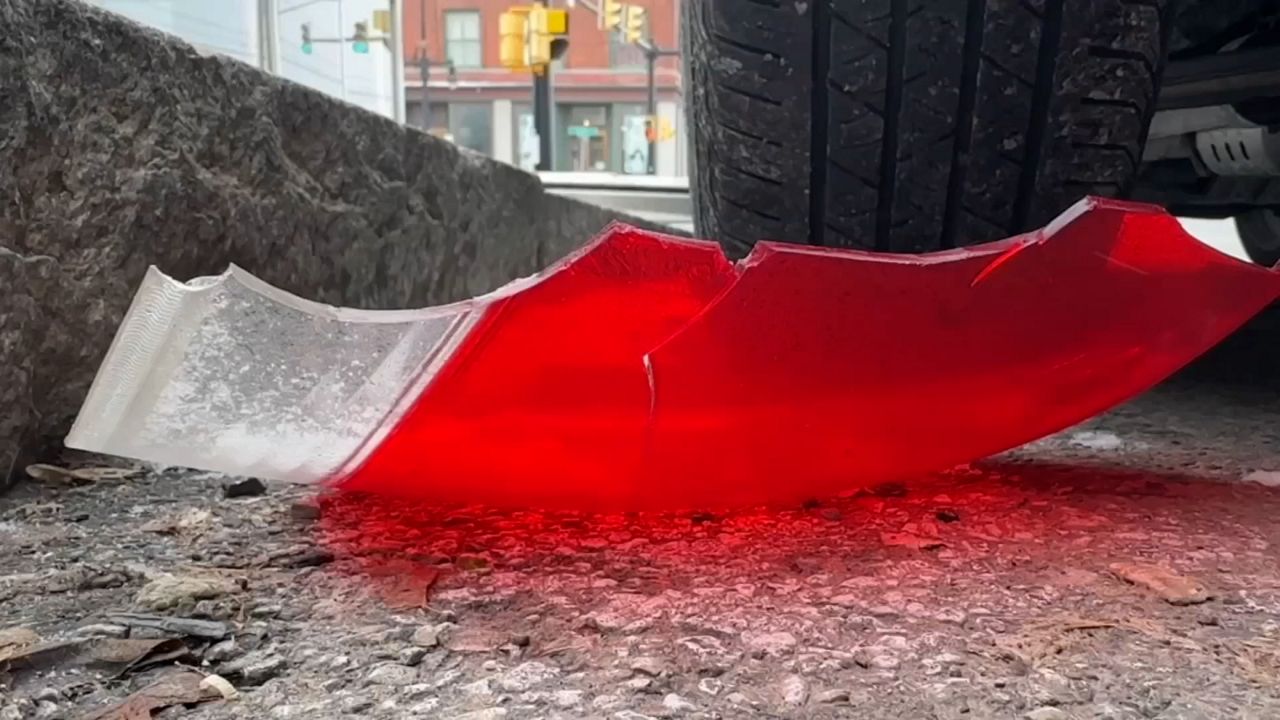 Students add layer to 'No Empty Chair' week in New York state