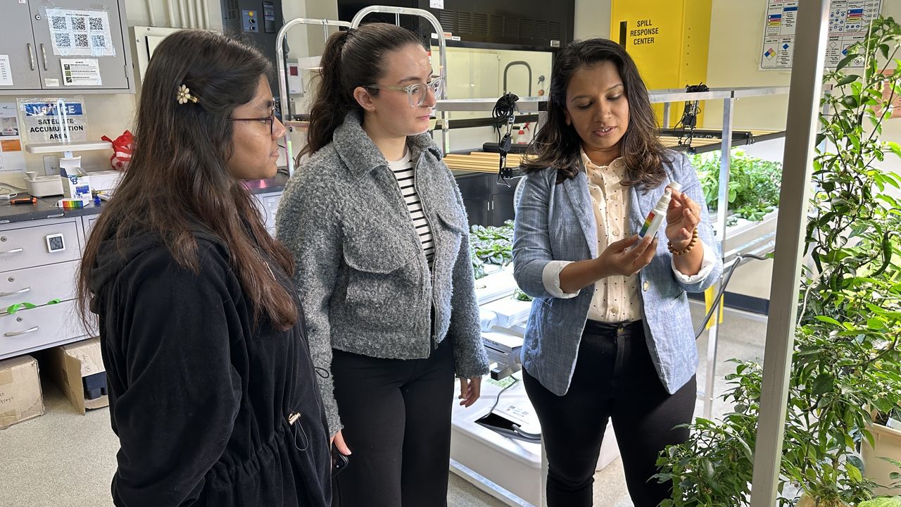 The program aims to get female students of color into science, technology, engineering and math — or STEM — fields. (Spectrum News NY1/Noorulain Khawaja)