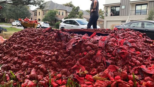 Dallas homeowner brings back bloody Halloween display