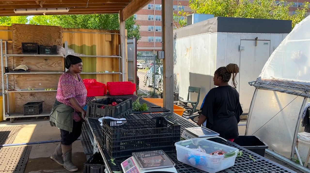 Ohio City Farm providing newcomers to Cleveland with jobs