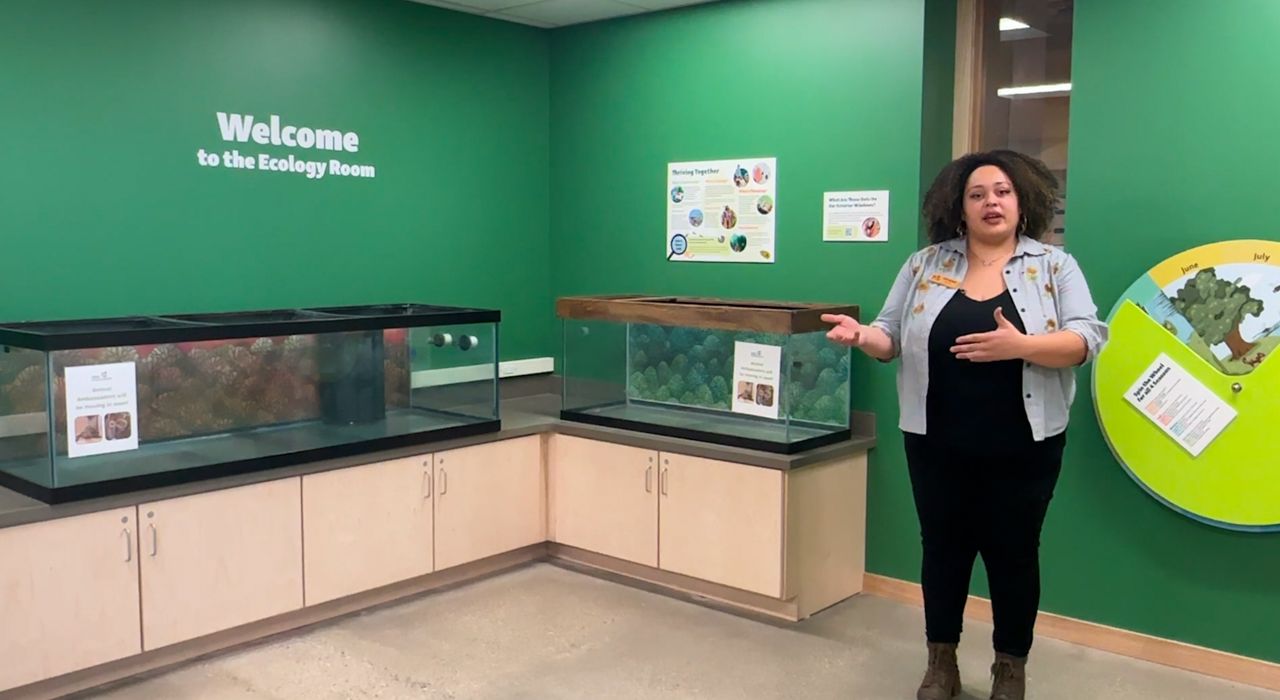 African American Environmental Pioneer Awards
