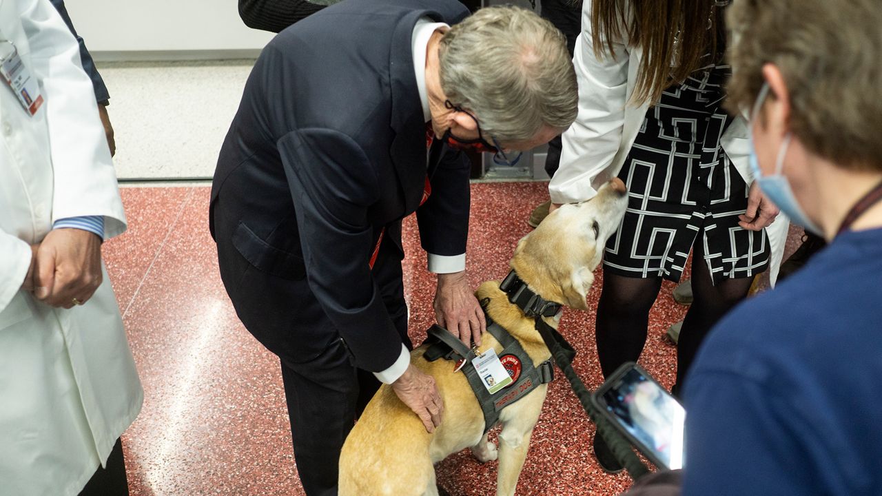 Governor meets dog
