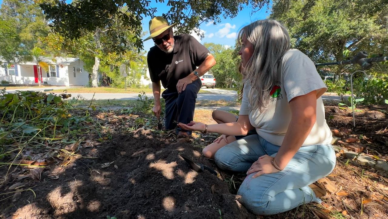 New Port Richey farmers ready to showcase this year's bounty at 10th Annual Sweet Potato Roundup