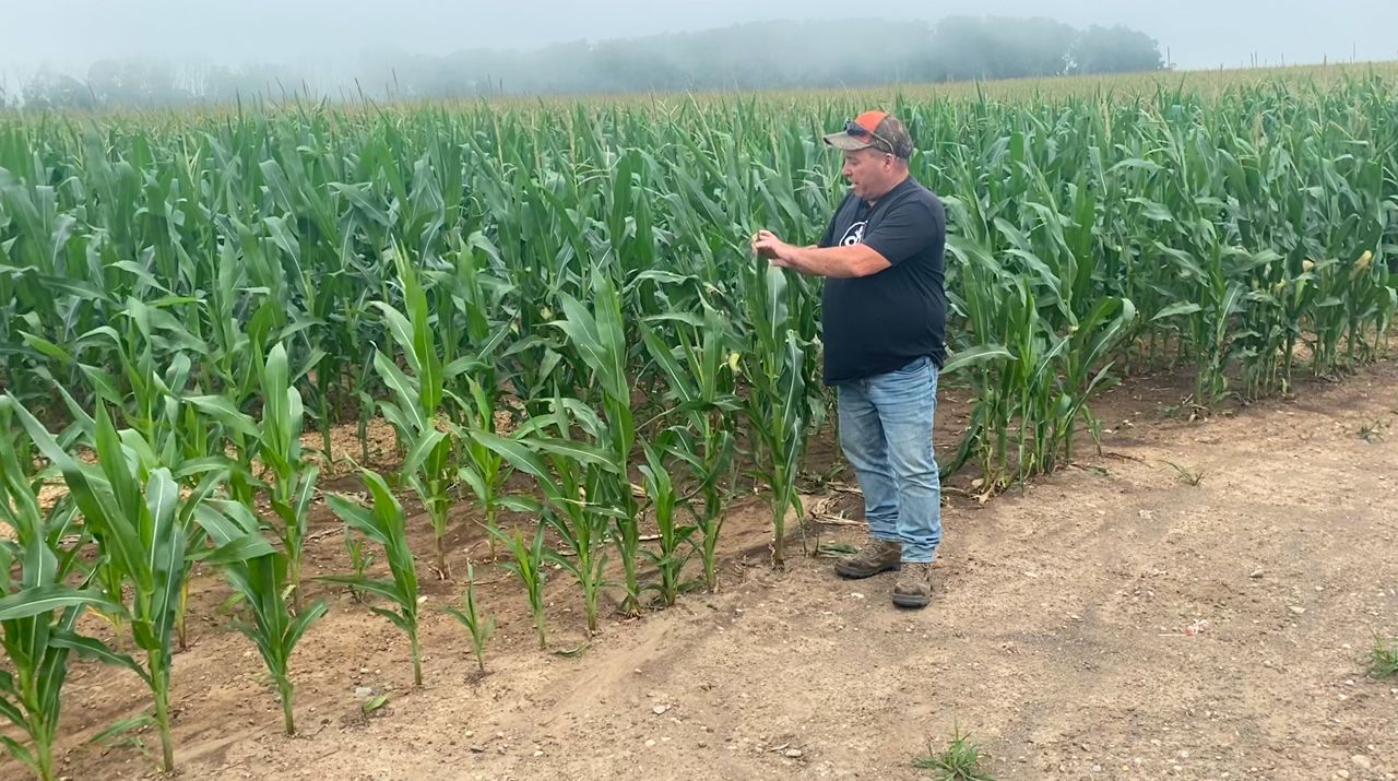 Ozaukee County farmer seeing impact of drought