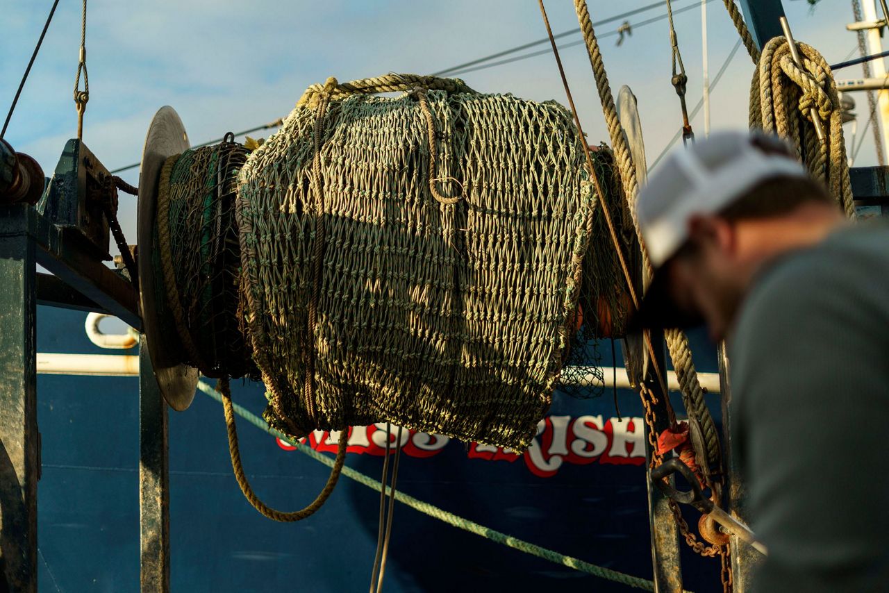 Could trawler cams help save world's dwindling fish stocks?