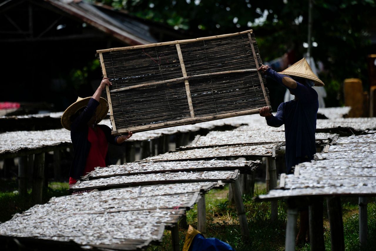 Philippines tries to bring back small fish key to rural diet