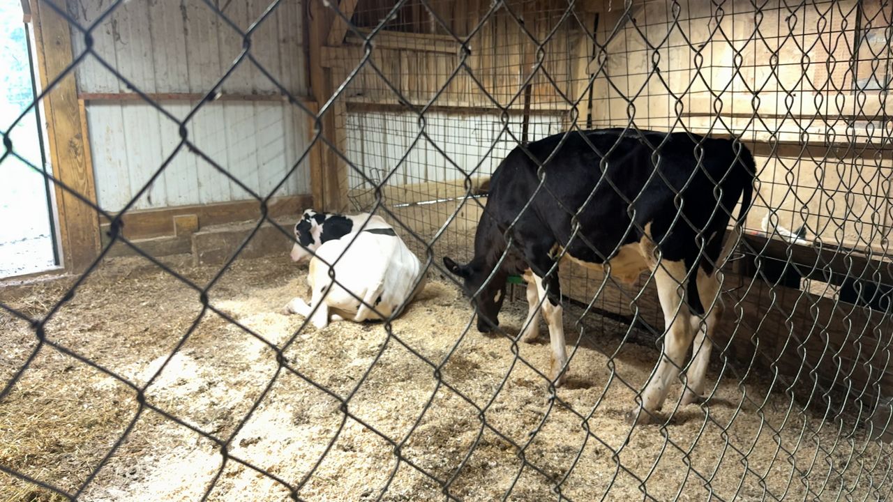 Recently enacted Canadian tariffs could affect Ohio dairy industry