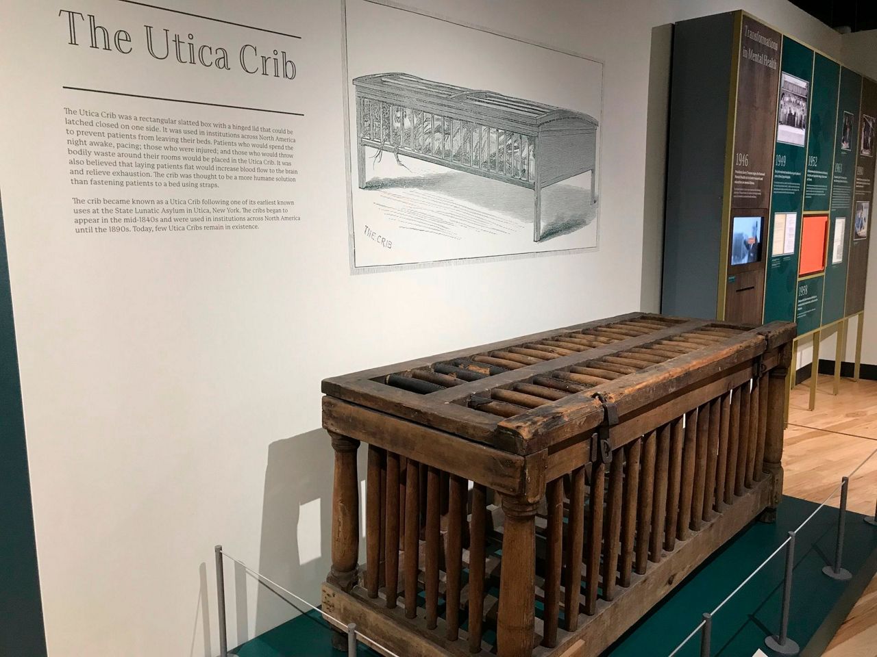 Psychology museum explores what makes us human