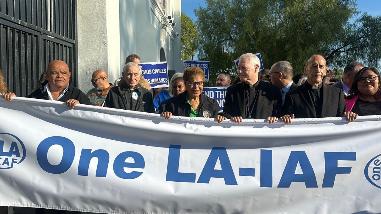 Democratic lawmakers launch probe into possible civil rights violations by immigration agents