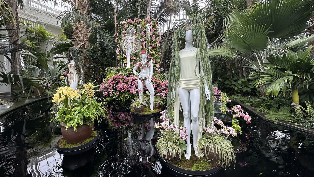 Bronx Botanical Garden Orchid Show: A Must-See Floral Extravaganza in NYC!
