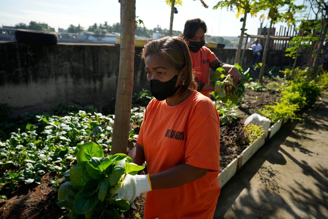 Waste pickers collect food waste, help combat climate change