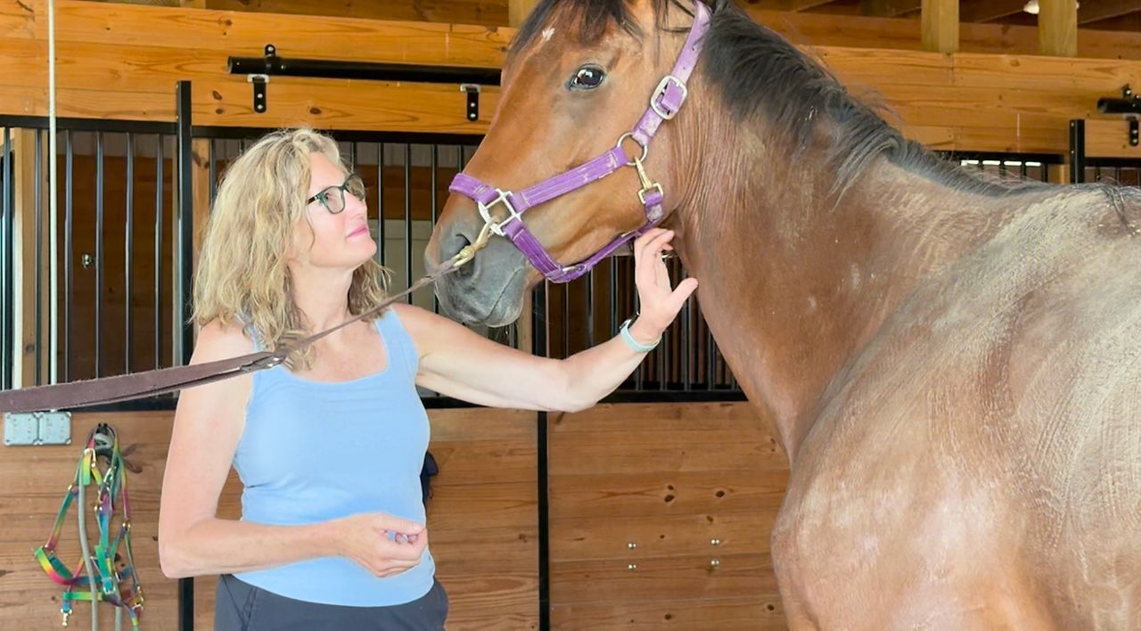 Horse stable works to protect horses, riders from ticks