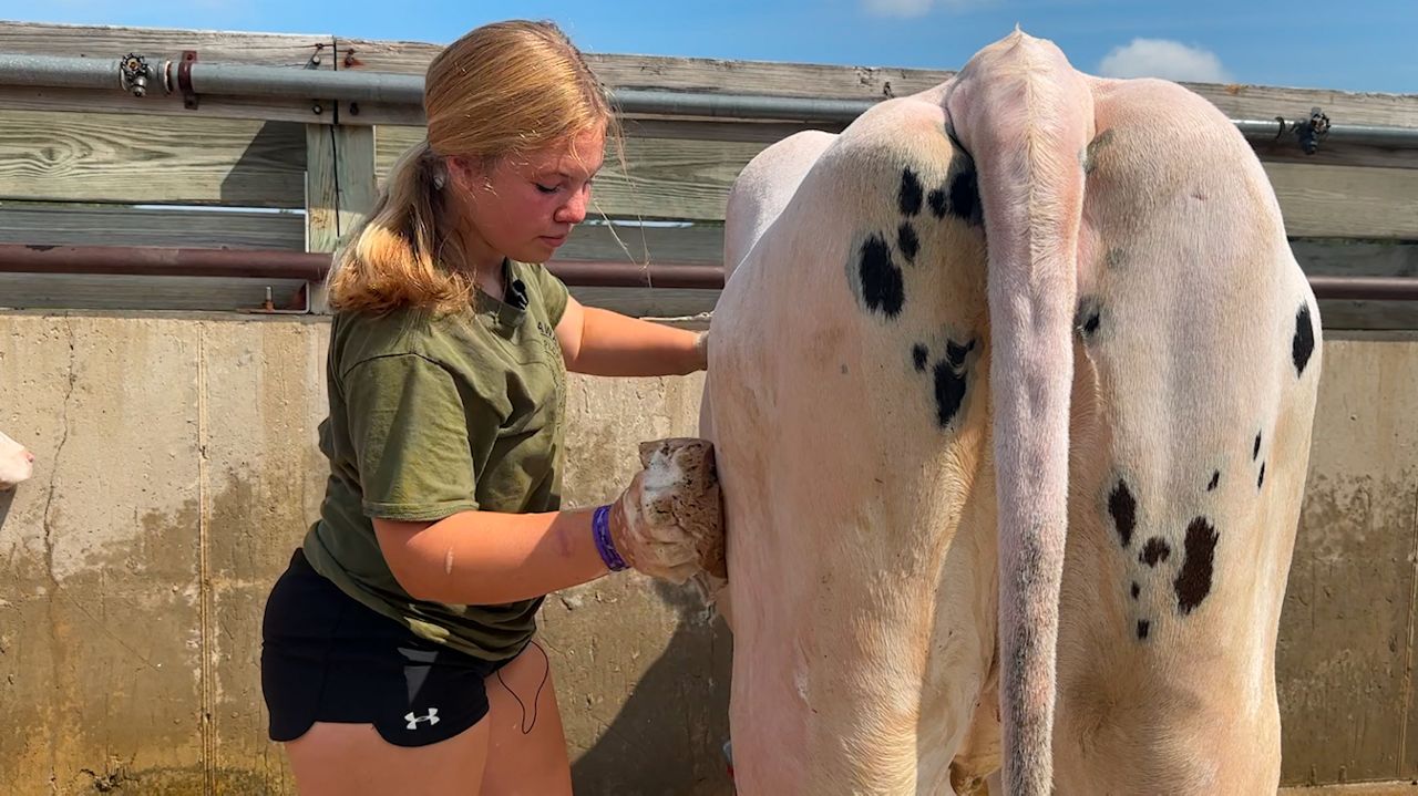 Ozaukee County Fair tradition continues