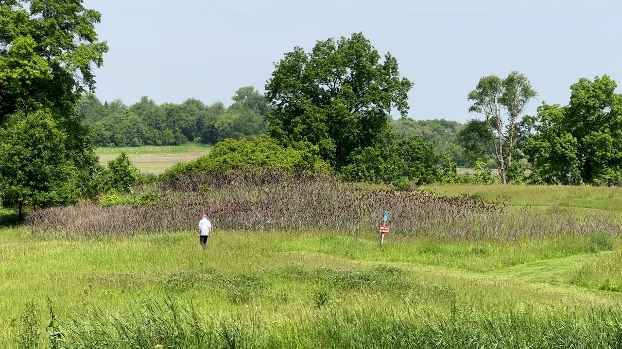 McCarthy County Park is one of the many Dane County parks people can explore through the 