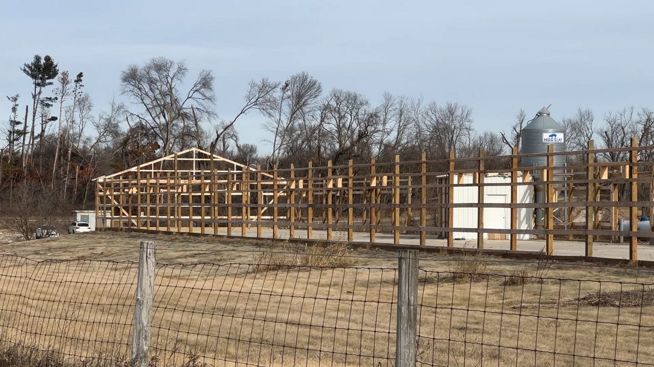 One of MacFarlane Pheasants' barns is being rebuilt, after it was destroyed by a June tornado. (Spectrum News 1/Natalie Sopyla)