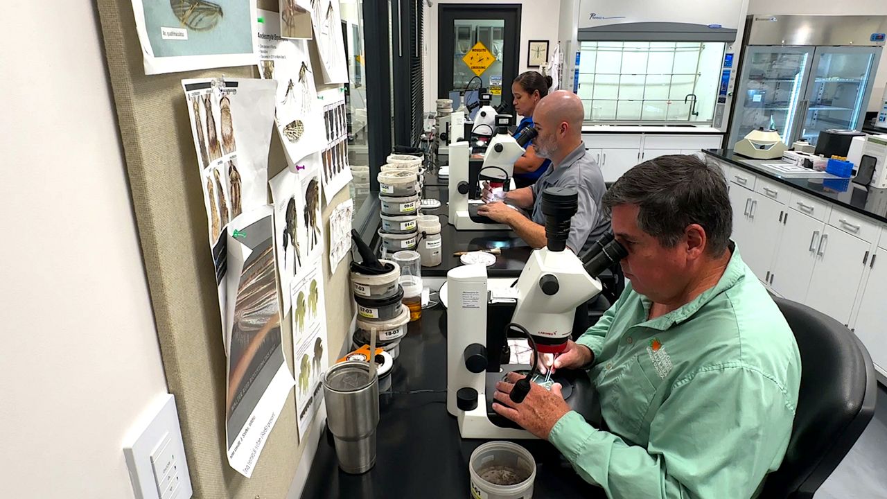 Orange County under a mosquito-borne illness alert