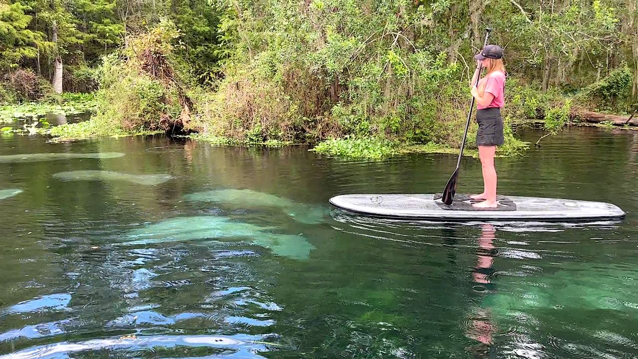 3 Brothers Boards brings visitors face-to-face with wildlife on Florida’s colorful Silver River