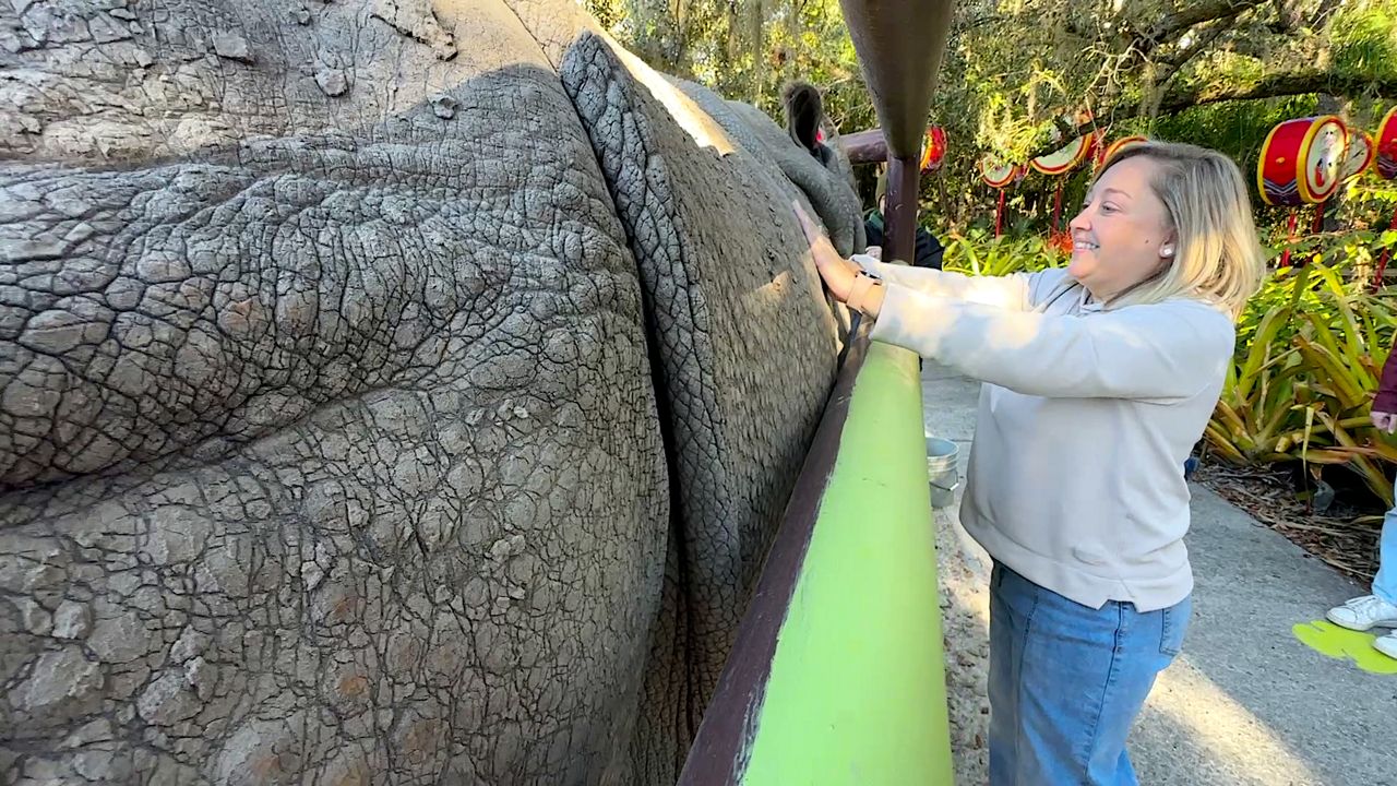 Up close with a giant: Central Florida Zoo’s Rhino Encounter offers rare hands-on experience