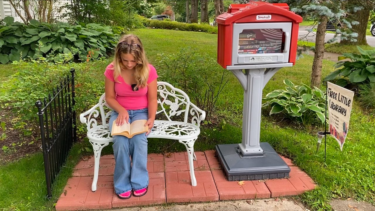 Little Free Library in Pittsfield