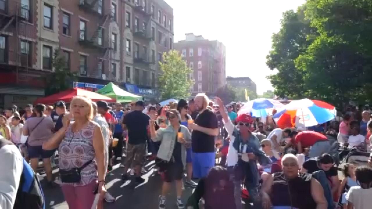 152nd Street Festival Celebrates Puerto Rican Culture in The Bronx