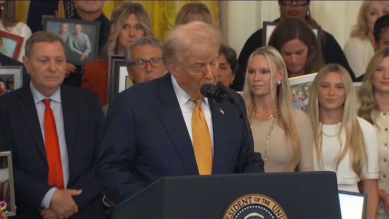 President Donald Trump speaks at the podium. (file photo)