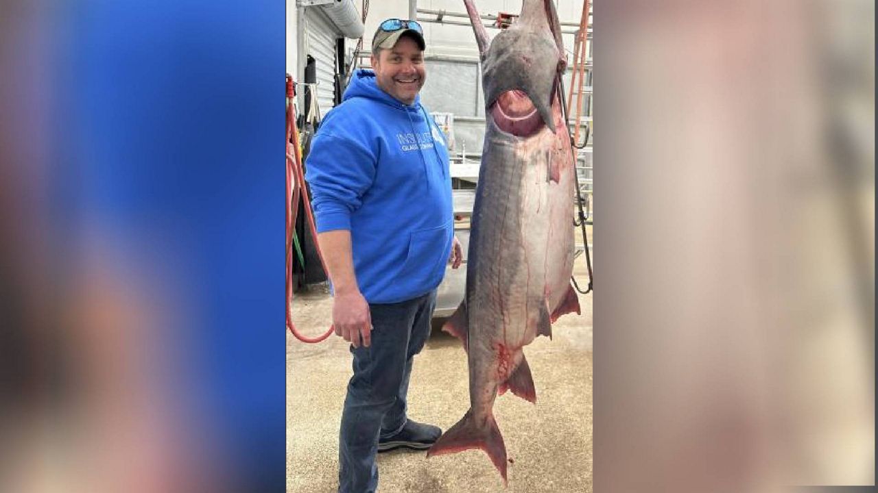 Missouri updates paddlefish regulations, Sports