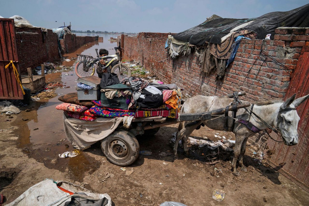 Floods in Pakistan's Punjab leave many without aid as rescuers race to ...