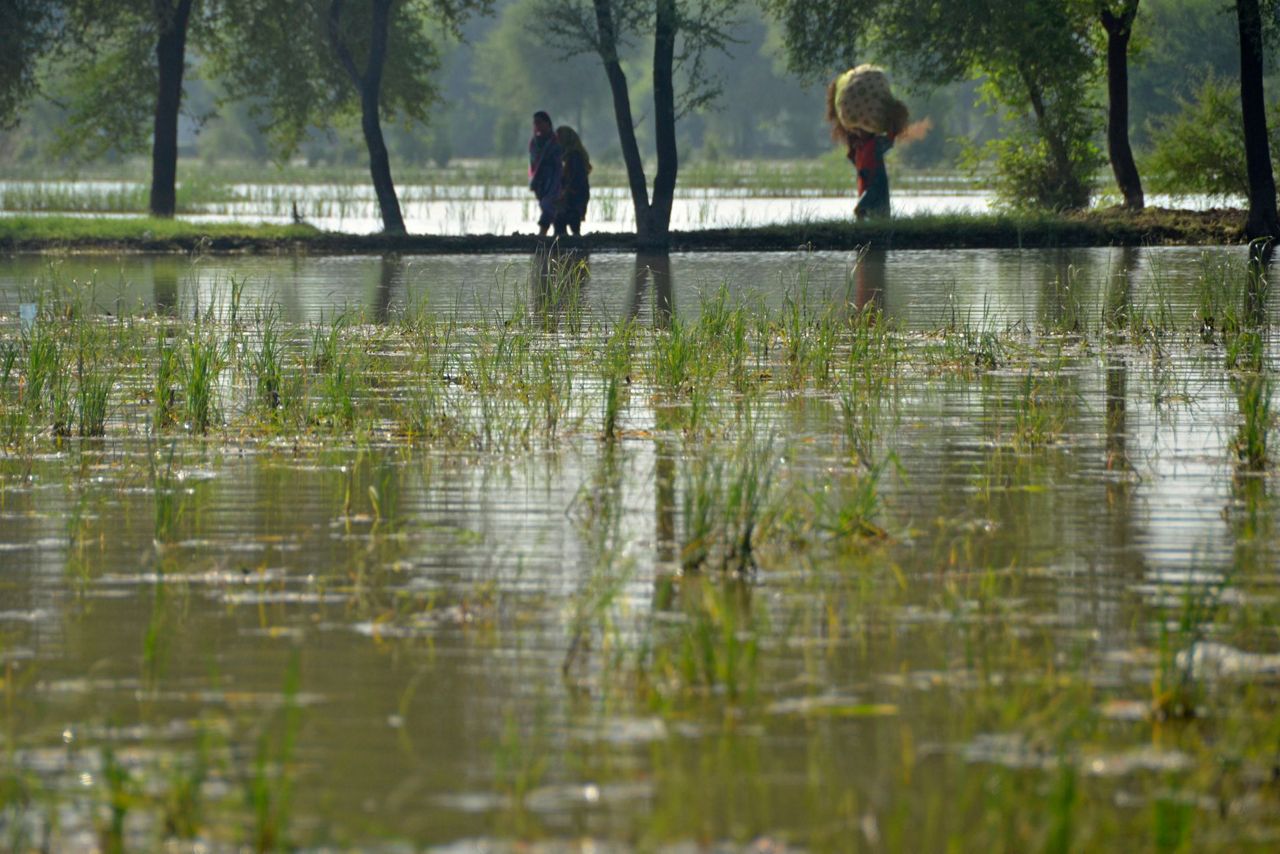 Pakistan Floods Raise Fears Of Hunger After Crops Wrecked