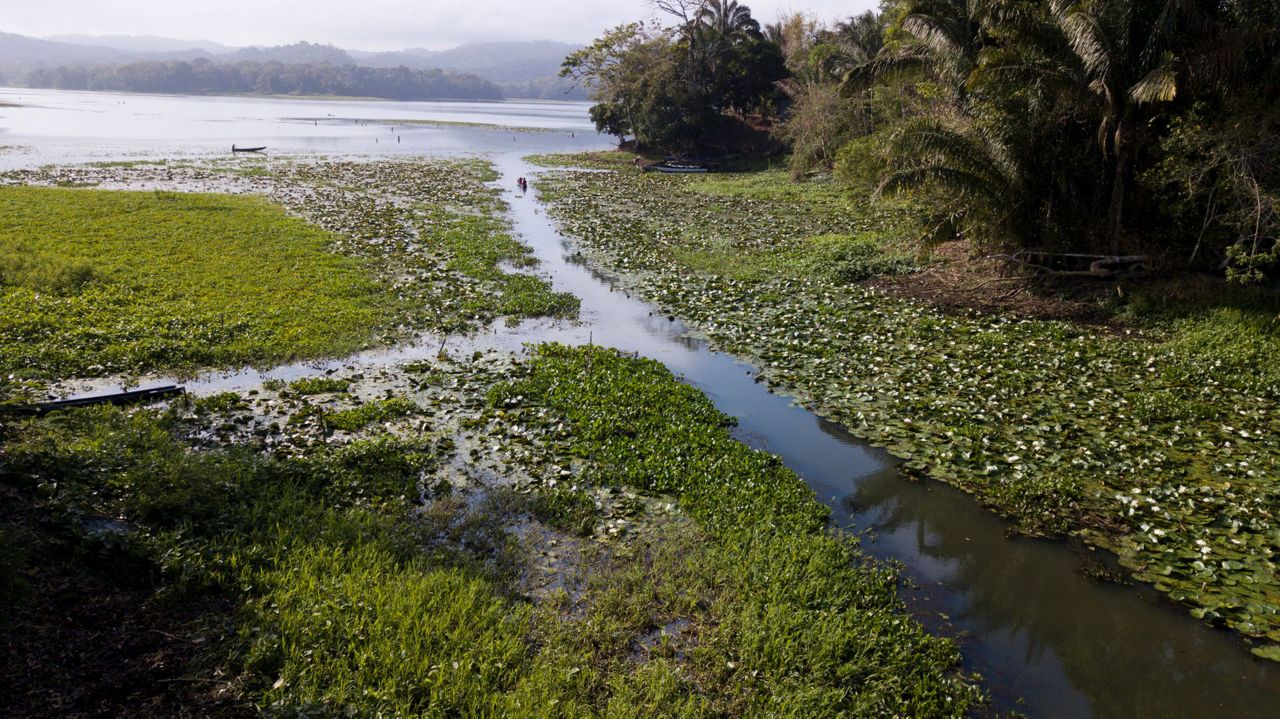 Drought hits Panama Canal shipping, highlights climate fears