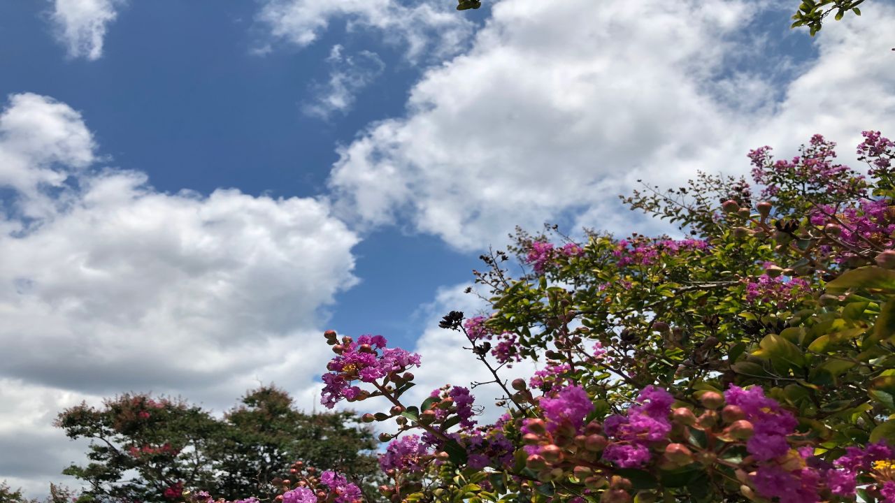 weather photo