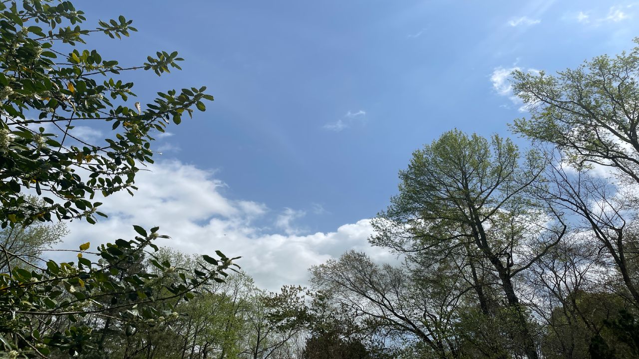 (Spectrum News 1)