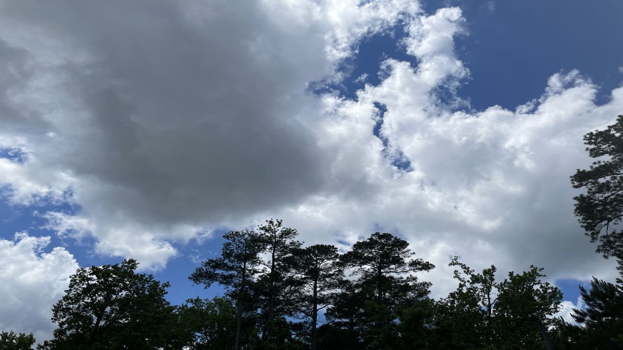 (Spectrum News 1)