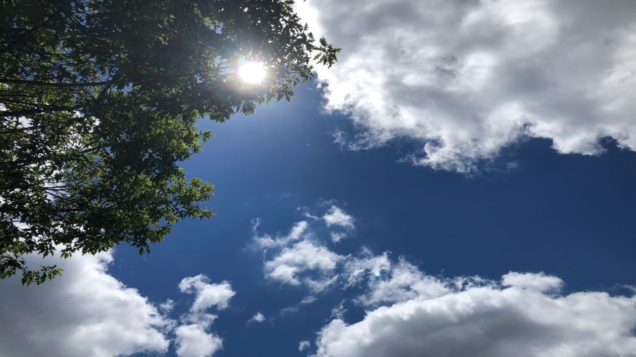 Texas weather
