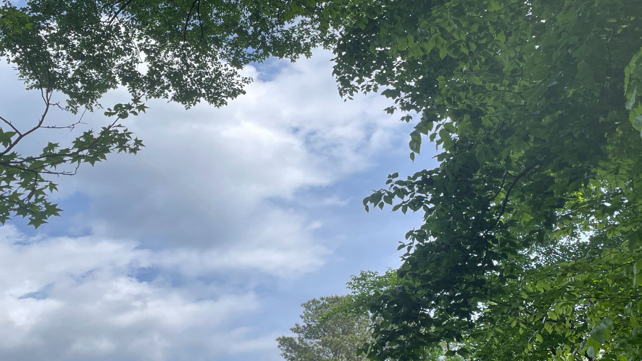 Weather Photo
