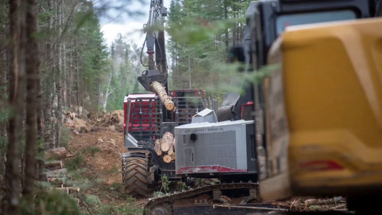 Crews from Northern Clearing Inc. clear a corridor in November 2021 near Whipple Pond south of Jackman. The job continued a day after Maine residents voted to stop work on the $1 billion New England Clean Energy Connect transmission line. (Kennebec Journal/Michael G. Seamans)