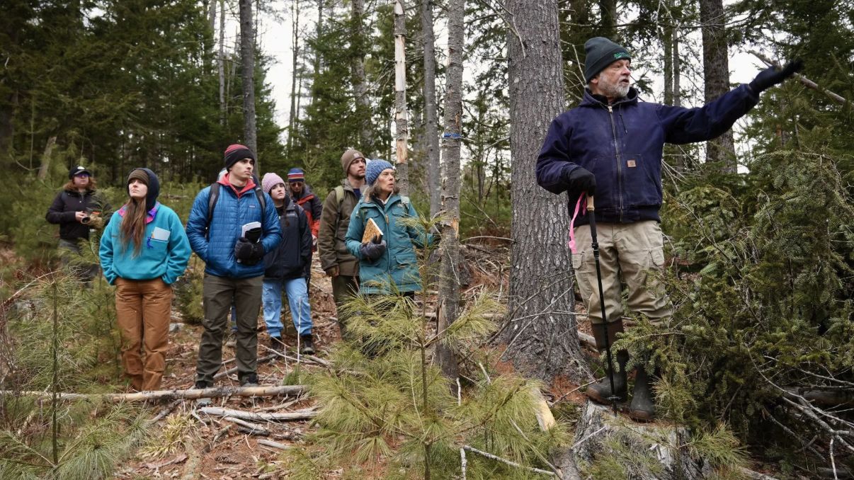 UMaine Forestry professors Bob Seymour and Jessica Leahy lead a group of students on a tour of the woodlot they manage, just a few miles from Bucksport. (Photo by Nate Hathaway via The Maine Monitor)