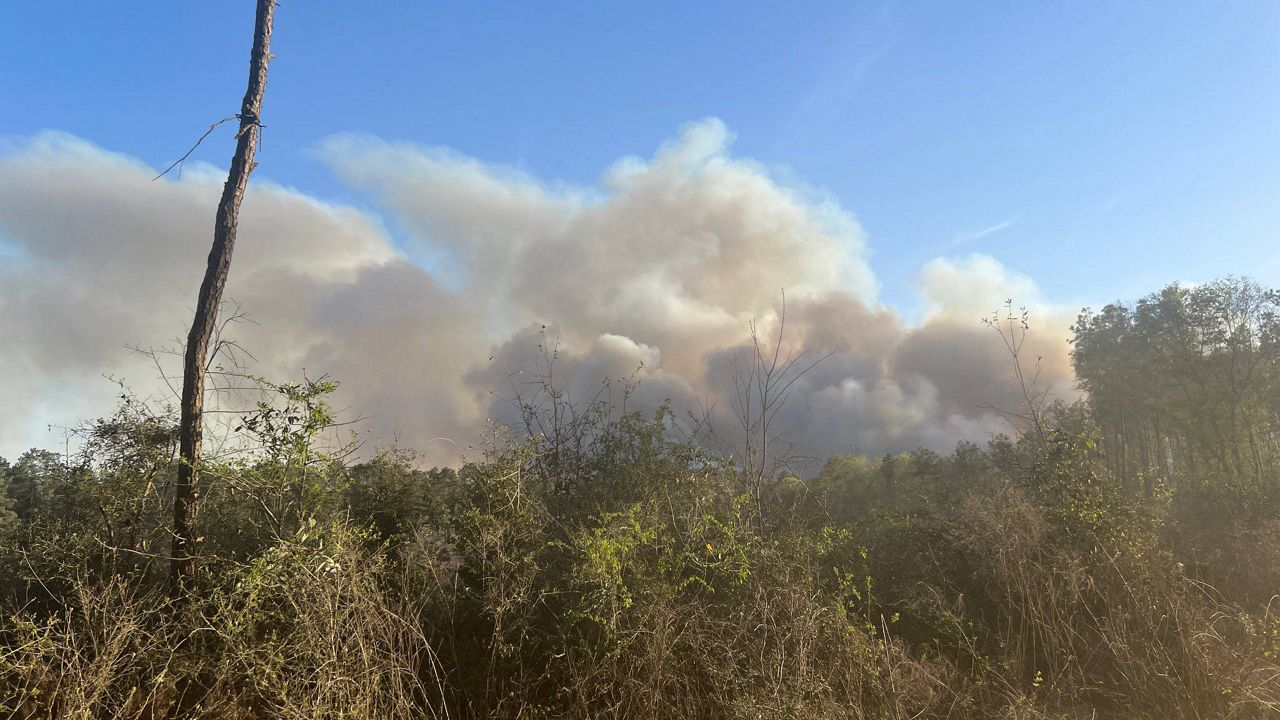 The Pauline Road Fire in San Jacinto County on Wednesday, March 19, 2025. (Texas A&M Forest Service)