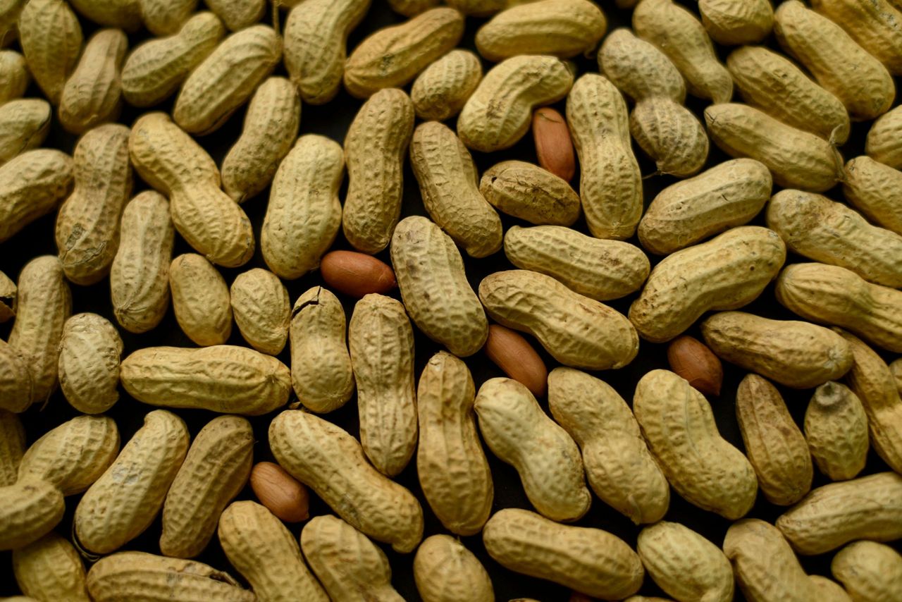 promising-peanut-allergy-treatment-may-be-on-the-way-better-homes-and-gardens