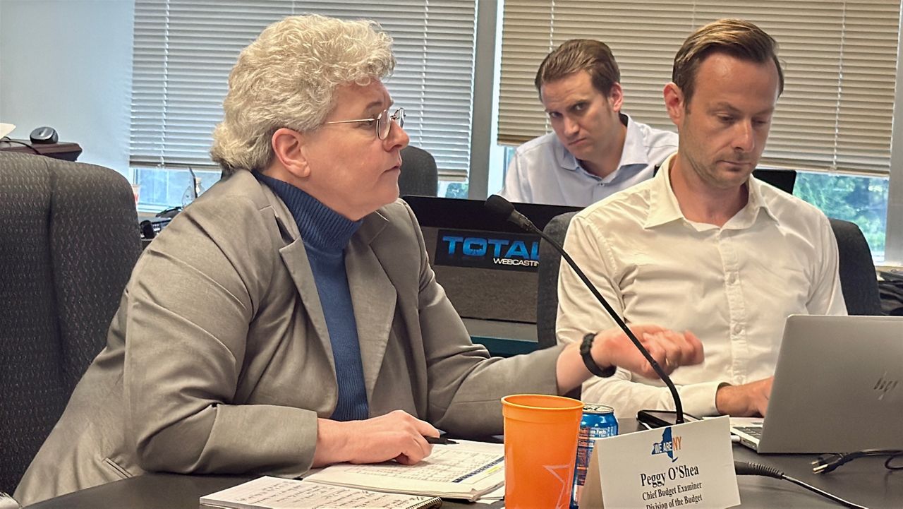 N.Y. Chief Budget Examiner Peggy O'Shea told state Opioid Settlement Advisory Board members Tuesday the group should take a stance on using the state's opioid settlement funds to backfill potential federal cuts to treatment and recovery programs. But several board members disagree, and said they feel the request is hypocritical. Kate Lisa/Spectrum News 1 