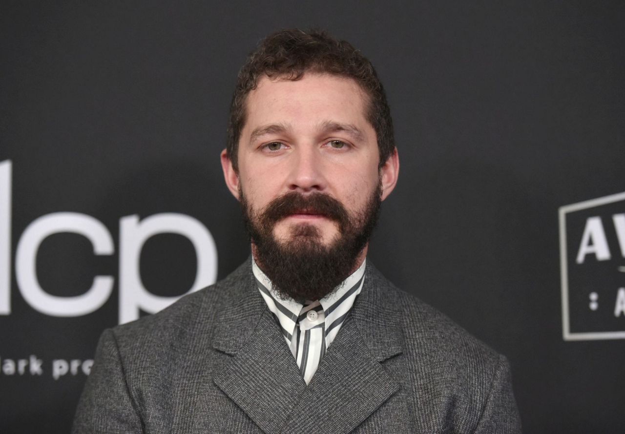 shia-labeouf-charged-with-misdemeanor-battery-petty-theft