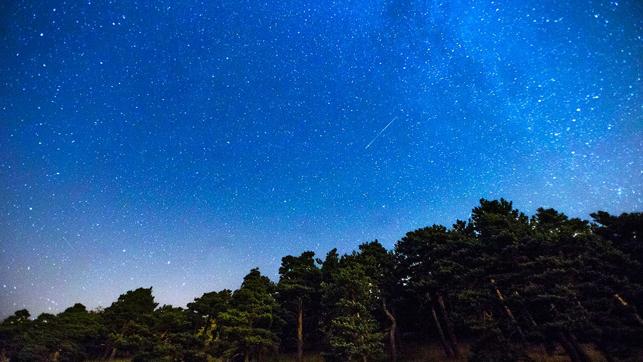Two Perseid meteors, centre and lower left, streak across the sky during the annual Perseid meteor shower above a forest on the outskirts of Madrid, in the early hours of Monday, July 28, 2014. (AP Photo/Andres Kudacki)