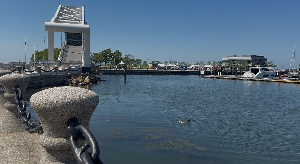 Light Up the Lake celebration features family-friendly activities. 
