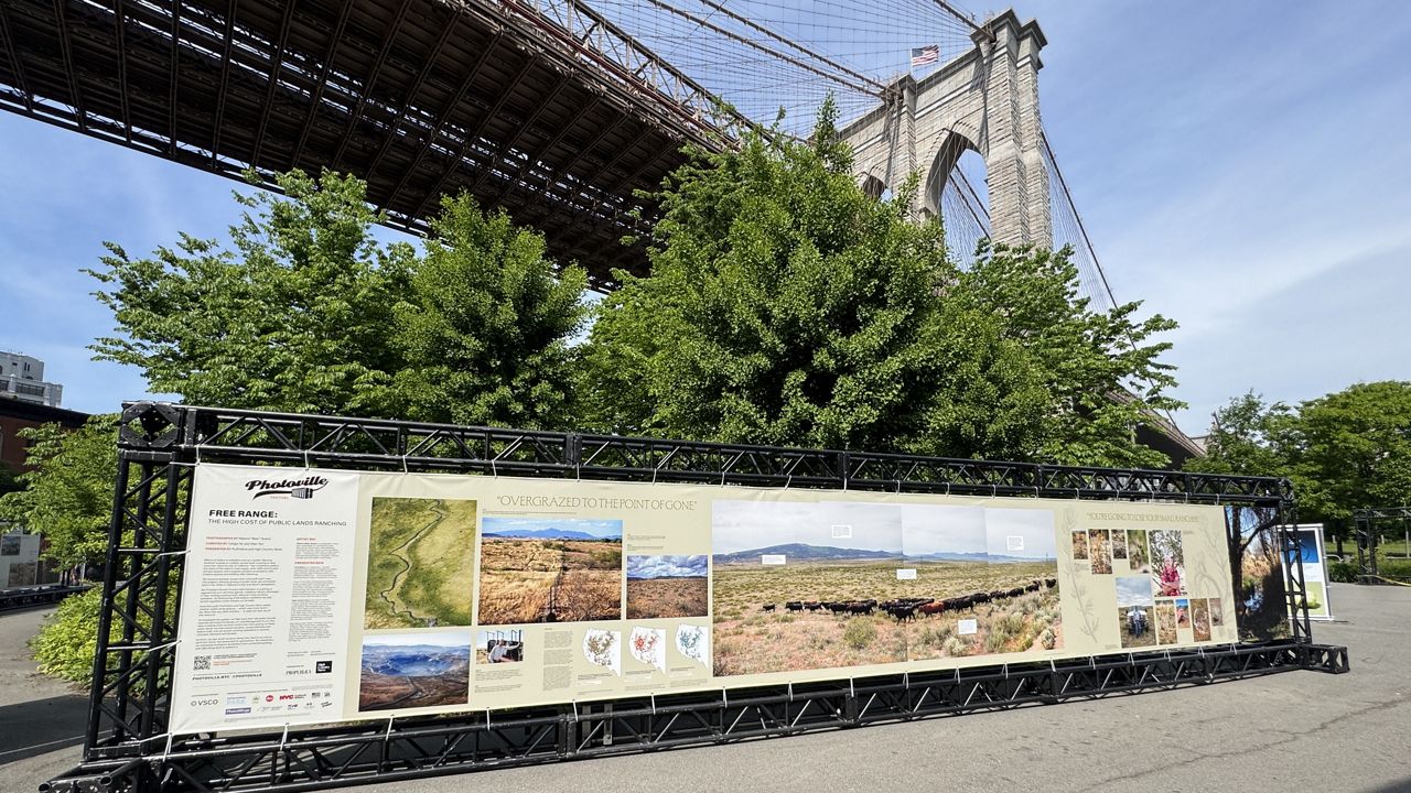 Things to do in New York City: May 16-17