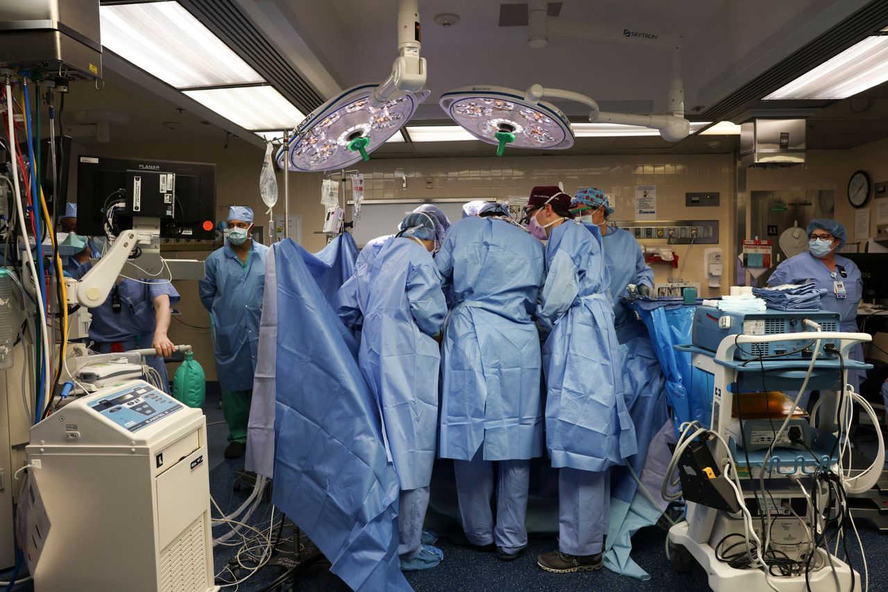 US surgeons have transplanted a pig kidney into a patient