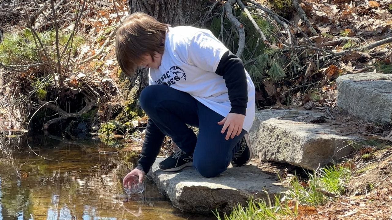Students at Poland Community School released tiny brook trout fingerlings into the Waterhouse Brook in Poland Friday, after raising the fish from eggs in the classroom starting in January. The work is part of an annual project about environmental ecosystems. (Spectrum News/Sean Murphy)