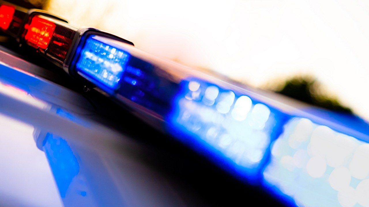 Police vehicle flashing lights. (Jason Deckman/Getty Images)