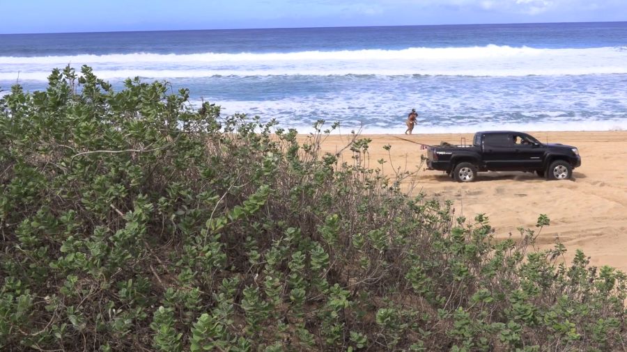 The DLNR and many in the community agree that Polihale State Park is endangered by bad and illegal behaviors that include driving on sensitive sand dunes and on the beach, defecating in the area, and disrespecting or disturbing sacred Native Hawaiian burial sites. (Image by Hawaii Department of Land and Natural Resources)